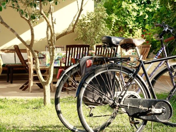 Giardino dei Suoni B&B - foto 45396.jpg