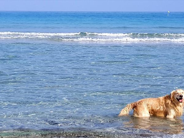 Giardino dei Suoni B&B - foto 45441.jpg