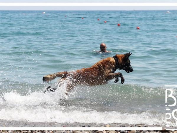 Baba Beach  - foto 45464.jpg