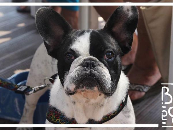 Baba Beach  - foto 45465.jpg