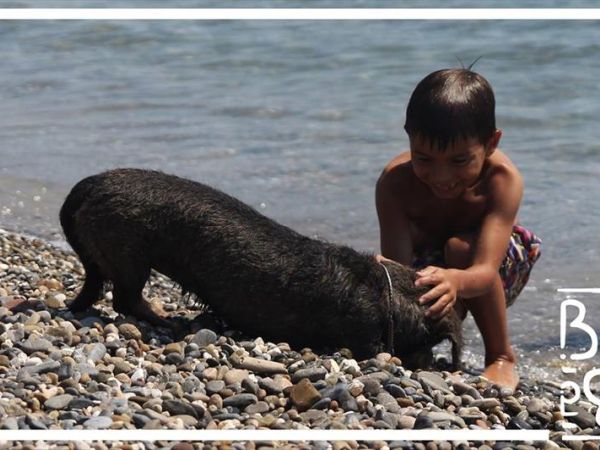 Baba Beach  - foto 45470.jpg