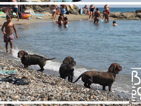 Baba Beach  - foto 45471.jpg