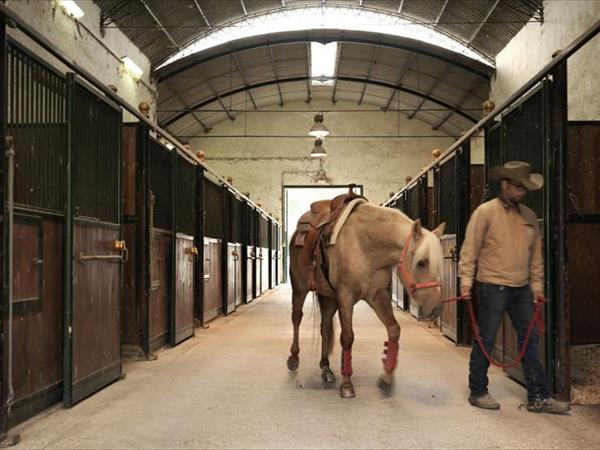 Agriturismo La Canonica - foto 45506.jpg