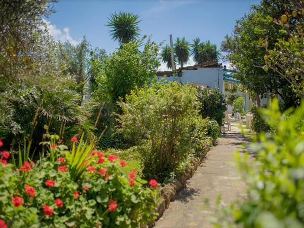 Casa Vacanze Le Querce - foto 45517.jpg