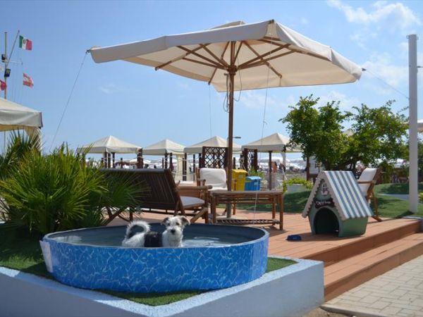 Hotel Nord Est - foto 45553.jpg