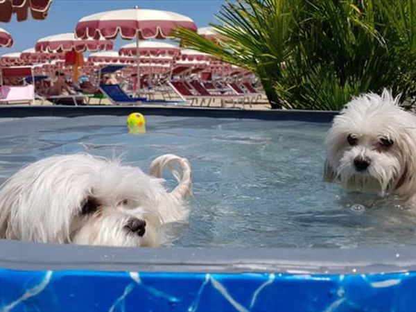 Hotel Nord Est - foto 45574.jpg