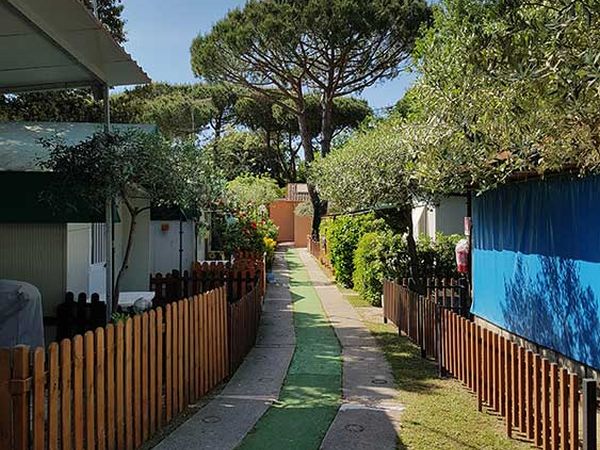 Campeggio Cucciolo - foto 45831.jpg