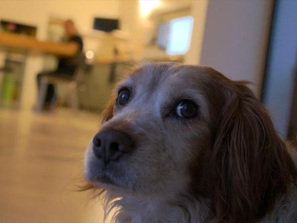 Giardino del tempo - foto 45880.jpg