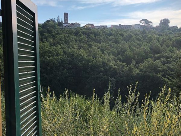 Fattoria La Torre - foto 46128.jpg