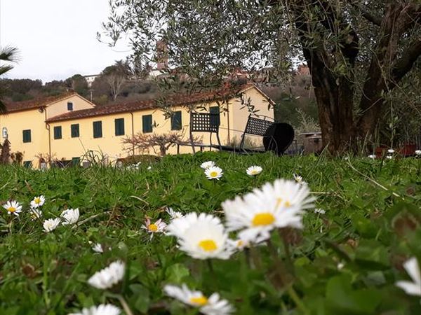 Fattoria La Torre - foto 46141.jpg