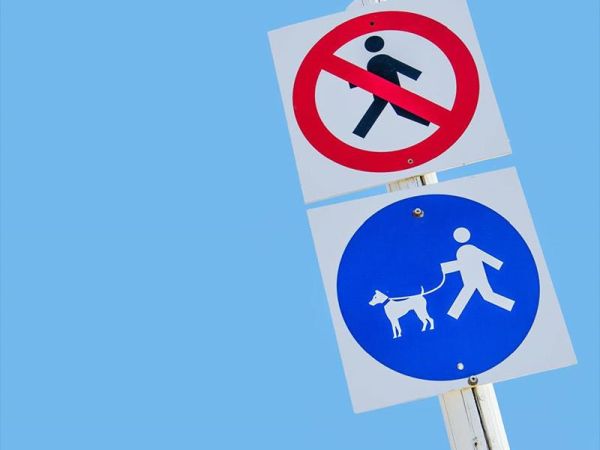 Rimini Dog No Problem - Bagno 81 Rimini - foto 46170.jpg