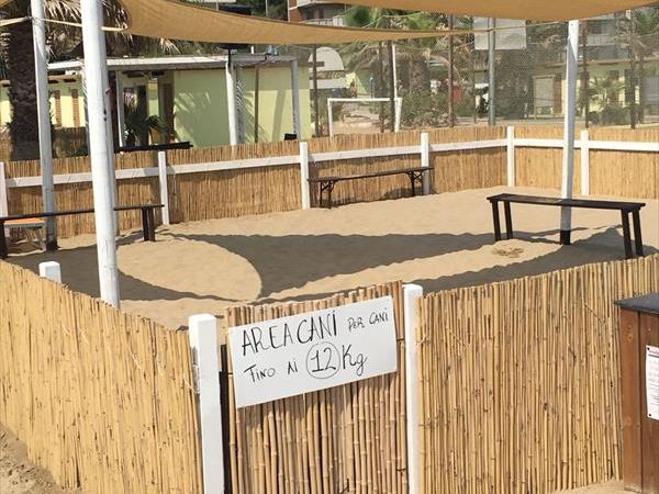 Rimini Dog No Problem - Bagno 81 Rimini - foto 46177.jpg