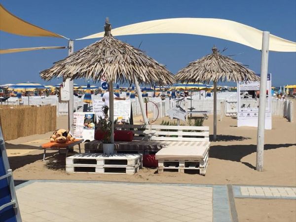 Rimini Dog No Problem - Bagno 81 Rimini - foto 46179.jpg