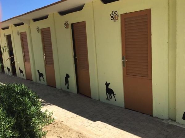 Rimini Dog No Problem - Bagno 81 Rimini - foto 46181.jpg