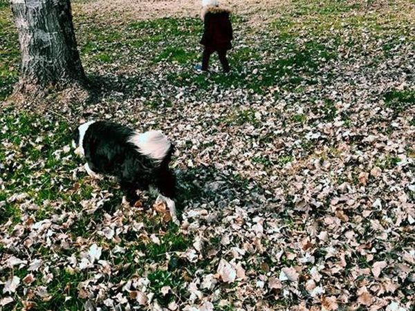 Agriturismo Ai Due Laghi - foto 46226.jpg