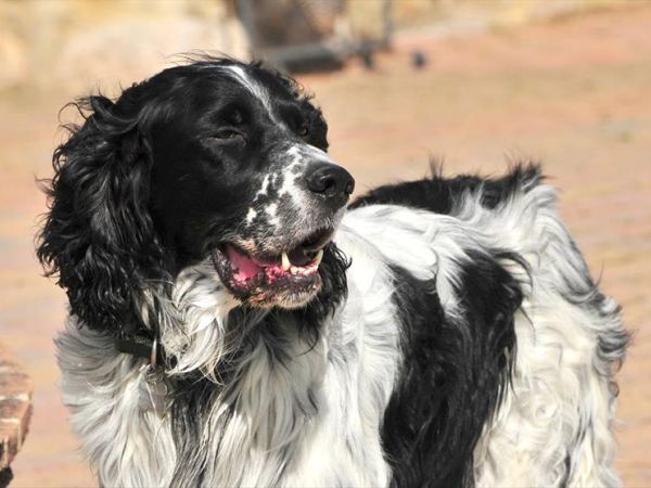 Antico Borgo Poggiarello - foto 46264.jpg