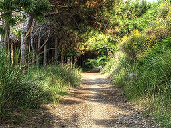 Hotel lApprodo - foto 46271.jpg