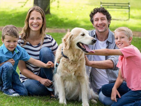 Agenzia Le Vele - foto 46288.jpg