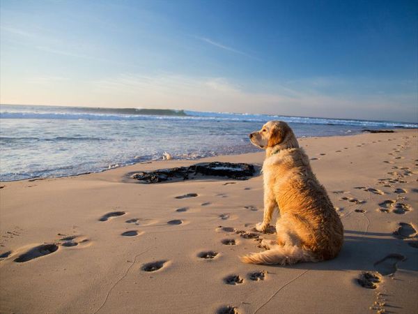 Agenzia Le Vele - foto 46290.jpg