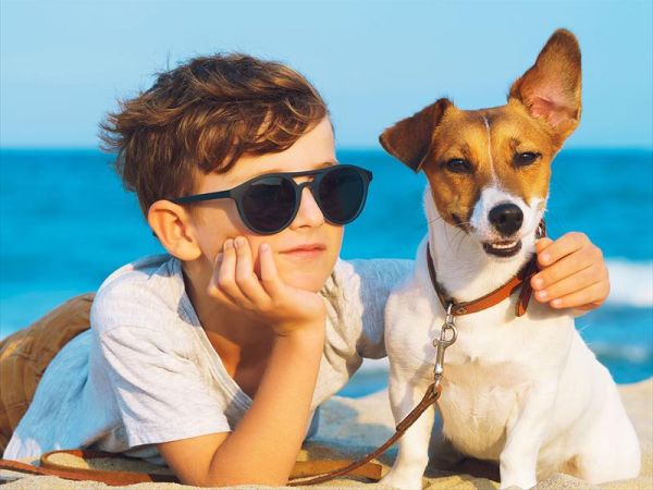 Agenzia Le Vele - foto 46292.jpg