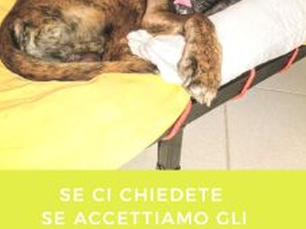 Villaggio Villamarina - foto 46301.jpg