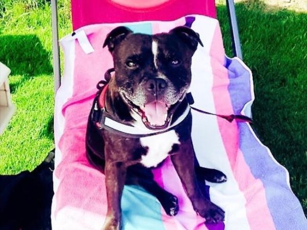 Ira Beach Club - Porto Rotondo - Spiaggia Ira - foto 46326.jpg