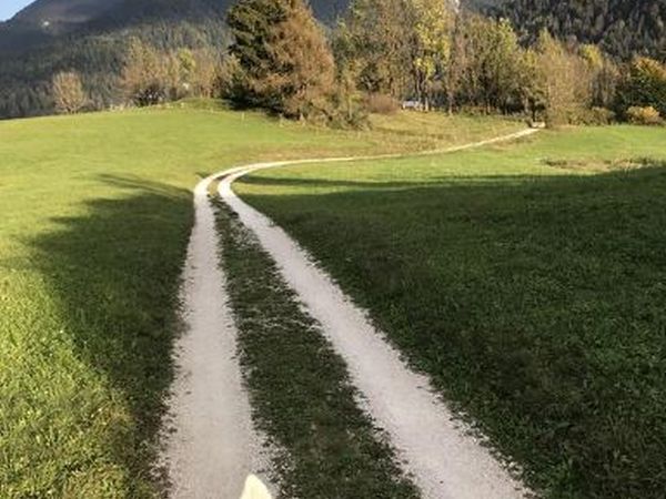 Casa nelle Dolomiti del Cadore - foto 46331.jpg