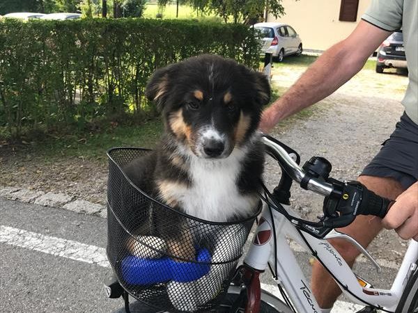 Casa... e Cuccia Lago di Ledro - foto 46391.jpg