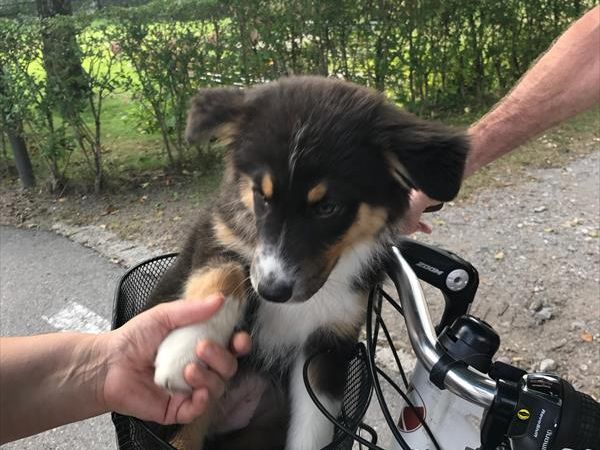 Casa... e Cuccia Lago di Ledro - foto 46392.jpg