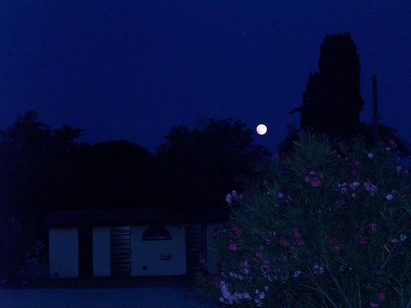 Azienda Agrituristica Allumiere - foto 46426.jpg