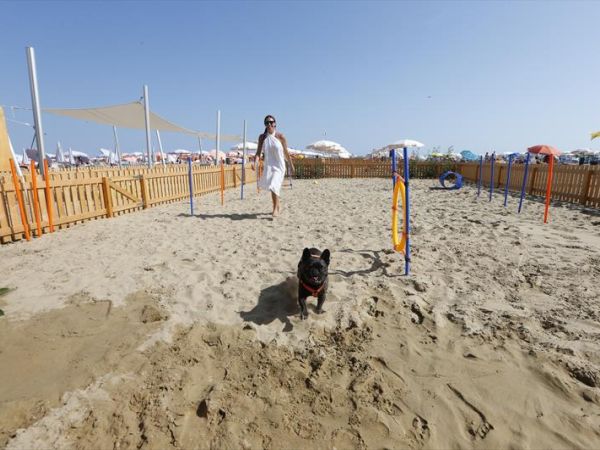 Green Village Resort - foto 46481.jpg