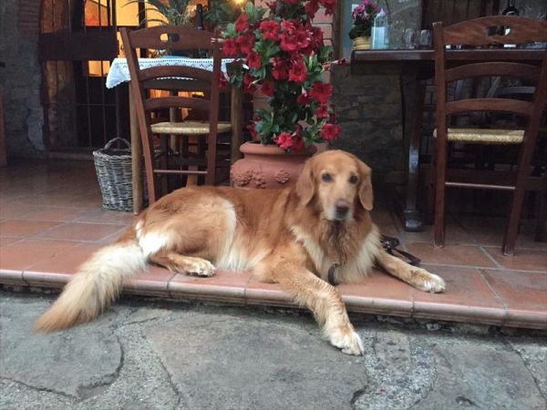 Campo di Carlo - foto 46592.jpg