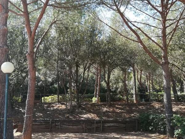 Club del Sole Stella del Mare Family Camping Village - foto 46646.jpg