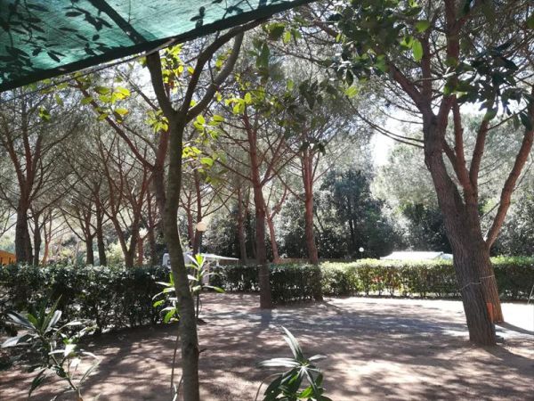 Club del Sole Stella del Mare Family Camping Village - foto 46648.jpg