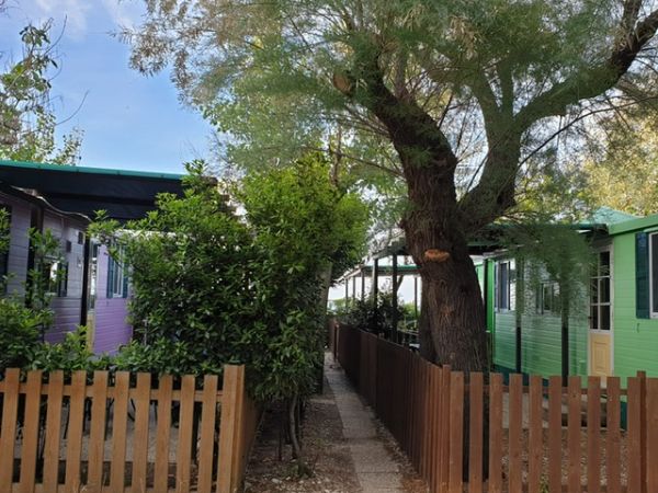 Pet Family Camping Cortina - foto 46668.jpg