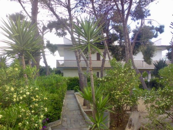 Tambo House - foto 46700.jpg