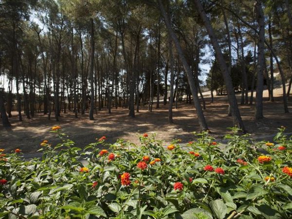 Baia di Gallipoli Camping Resort - foto 46828.jpg