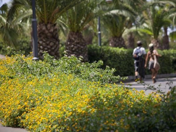 Baia di Gallipoli Camping Resort - foto 46830.jpg