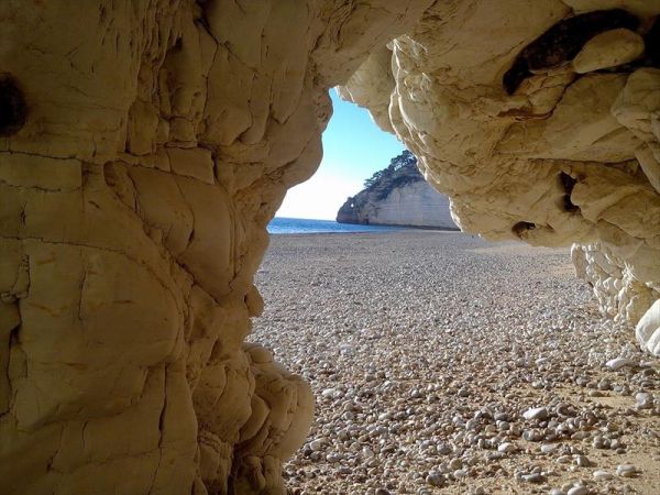 Camping Residence Vignanotica - foto 46843.jpg