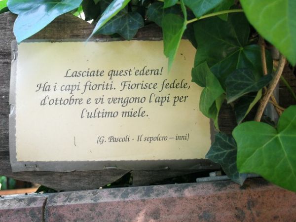 Casa Anita - foto 46919.jpg