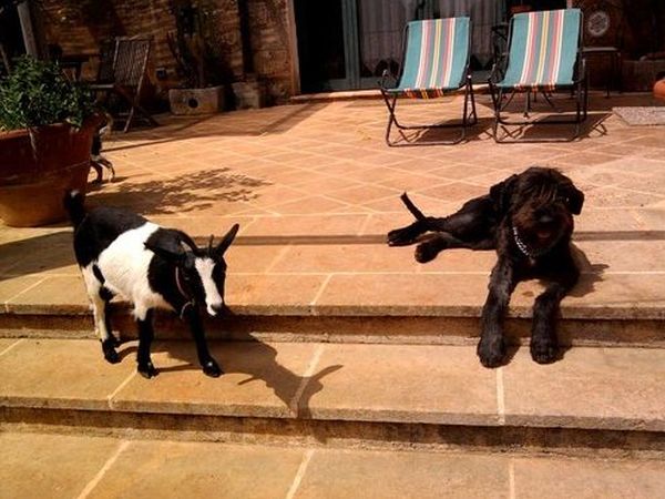 Masseria Nova Isola Verde - foto 14256.jpg