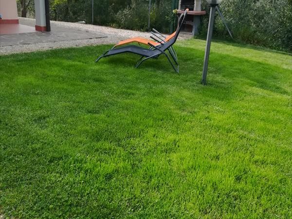 Agriturismo lOliveto - foto 46936.jpg