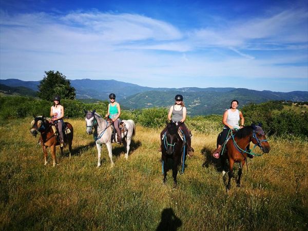 Agriturismo il Giardino - foto 46946.jpg