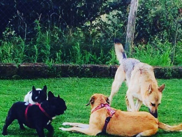 Casale SantEgidio - foto 46951.jpg