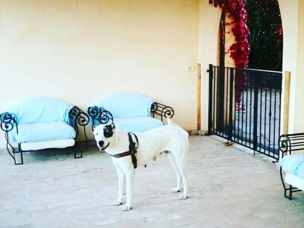 Casale SantEgidio - foto 46952.jpg