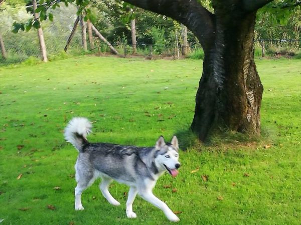 Casale SantEgidio - foto 46953.jpg