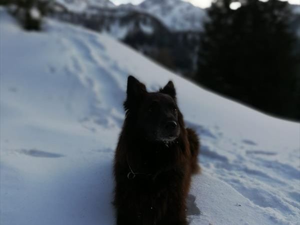 Casa nelle Dolomiti del Cadore - foto 46988.jpg