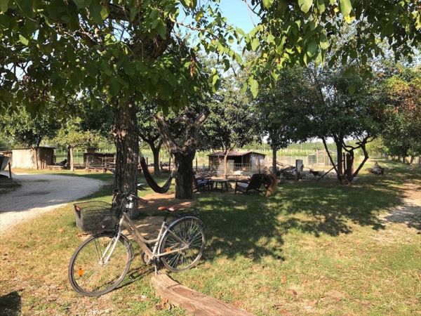 Agriturismo La Montina - foto 46994.jpg