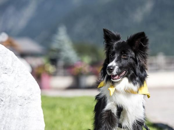 Panoramahotel Taljorgele - foto 47009.jpg