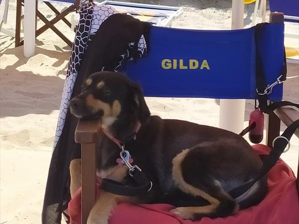 Camping Villaggio Gilda - foto 47012.jpg